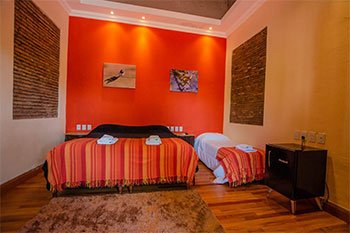 habitacion hotel nido de pajaros